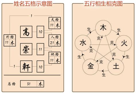 姓名 分析|姓名解析 